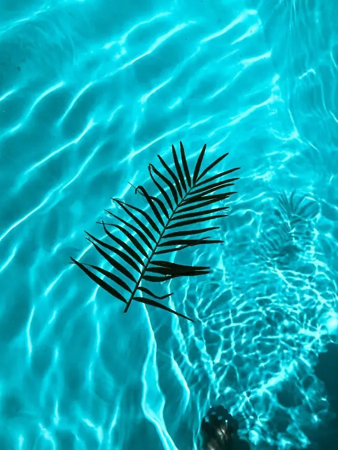 Ducassi Rooftop Pool & Beach Club Hotel
